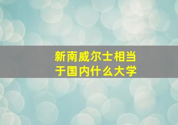 新南威尔士相当于国内什么大学