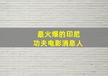 最火爆的印尼功夫电影消息人