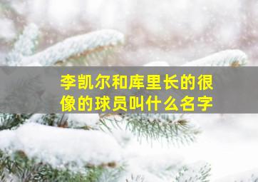 李凯尔和库里长的很像的球员叫什么名字