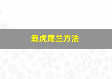 栽虎尾兰方法