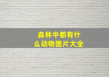 森林中都有什么动物图片大全