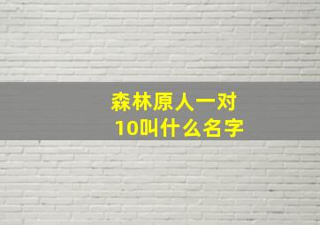 森林原人一对10叫什么名字