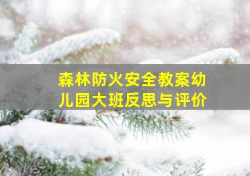 森林防火安全教案幼儿园大班反思与评价