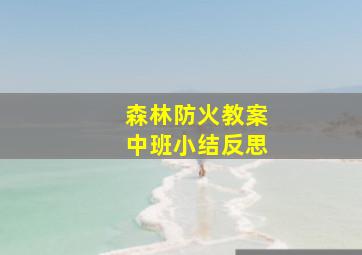 森林防火教案中班小结反思