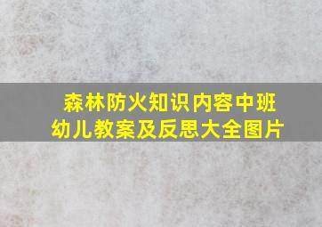 森林防火知识内容中班幼儿教案及反思大全图片