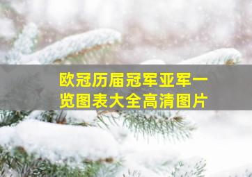 欧冠历届冠军亚军一览图表大全高清图片