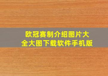 欧冠赛制介绍图片大全大图下载软件手机版