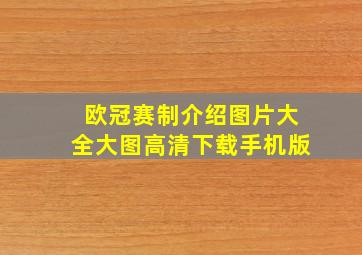 欧冠赛制介绍图片大全大图高清下载手机版