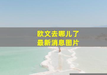 欧文去哪儿了最新消息图片