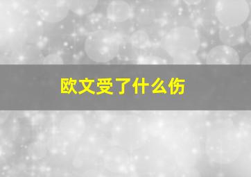 欧文受了什么伤