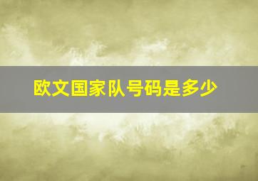 欧文国家队号码是多少