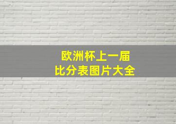 欧洲杯上一届比分表图片大全