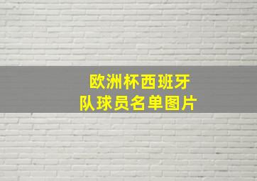 欧洲杯西班牙队球员名单图片