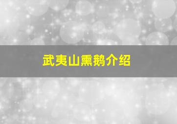 武夷山熏鹅介绍