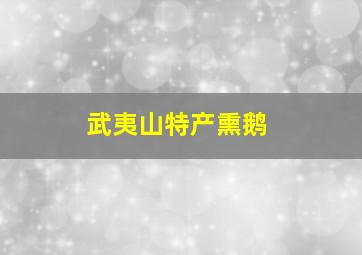 武夷山特产熏鹅