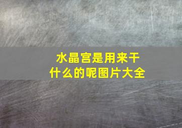 水晶宫是用来干什么的呢图片大全