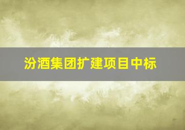 汾酒集团扩建项目中标