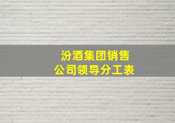 汾酒集团销售公司领导分工表