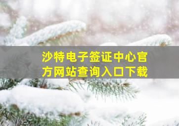 沙特电子签证中心官方网站查询入口下载