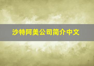 沙特阿美公司简介中文