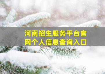 河南招生服务平台官网个人信息查询入口