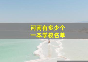 河南有多少个一本学校名单