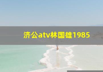 济公atv林国雄1985