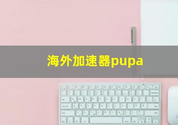 海外加速器pupa