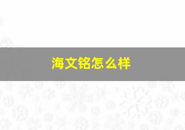 海文铭怎么样