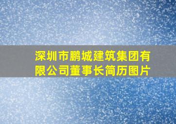 深圳市鹏城建筑集团有限公司董事长简历图片