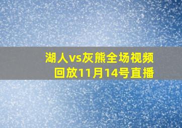 湖人vs灰熊全场视频回放11月14号直播