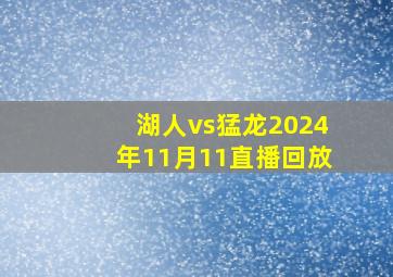 湖人vs猛龙2024年11月11直播回放