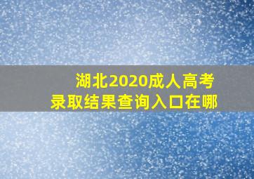 湖北2020成人高考录取结果查询入口在哪