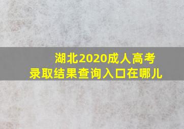 湖北2020成人高考录取结果查询入口在哪儿