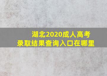 湖北2020成人高考录取结果查询入口在哪里