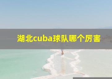 湖北cuba球队哪个厉害