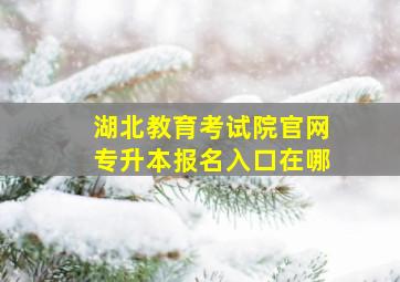 湖北教育考试院官网专升本报名入口在哪