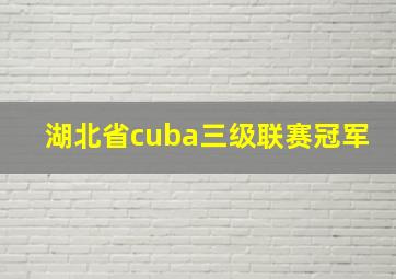 湖北省cuba三级联赛冠军