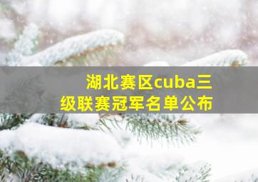 湖北赛区cuba三级联赛冠军名单公布