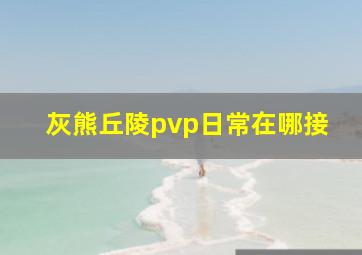 灰熊丘陵pvp日常在哪接