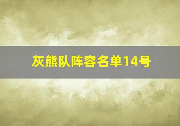 灰熊队阵容名单14号