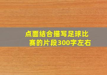 点面结合描写足球比赛的片段300字左右