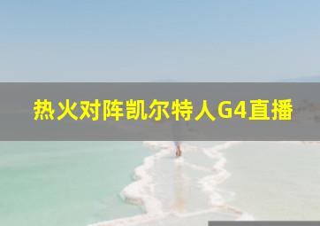 热火对阵凯尔特人G4直播