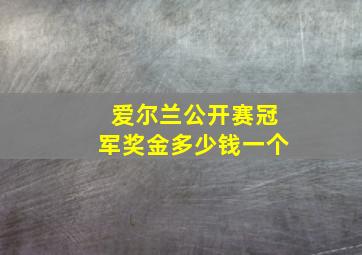 爱尔兰公开赛冠军奖金多少钱一个