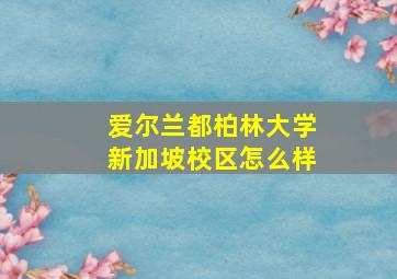 爱尔兰都柏林大学新加坡校区怎么样