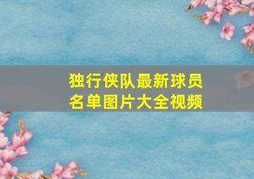 独行侠队最新球员名单图片大全视频