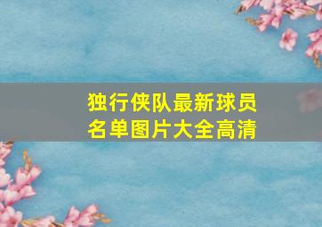 独行侠队最新球员名单图片大全高清