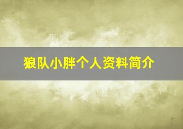 狼队小胖个人资料简介