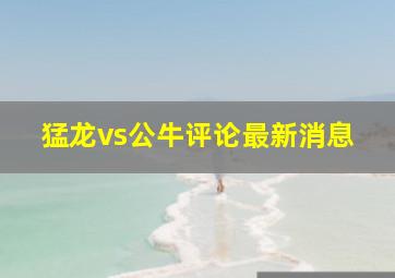 猛龙vs公牛评论最新消息