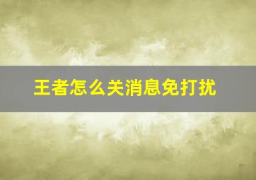 王者怎么关消息免打扰